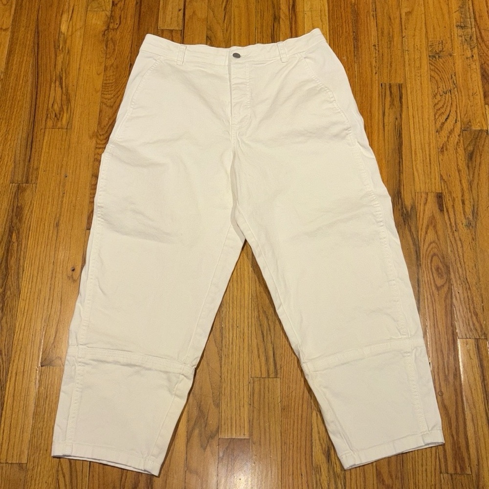 Everlane Utility Barrel Pant 14